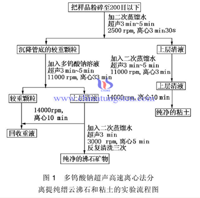 实验流程图